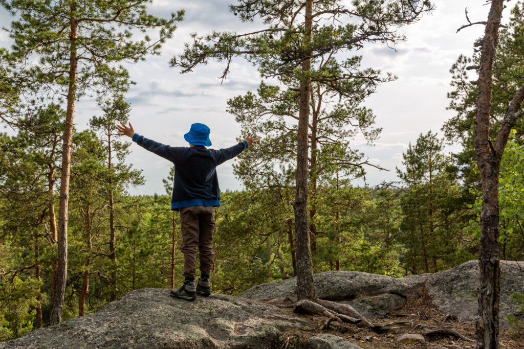The Boy Stands On A Rock In The Forest; Travel In Finland