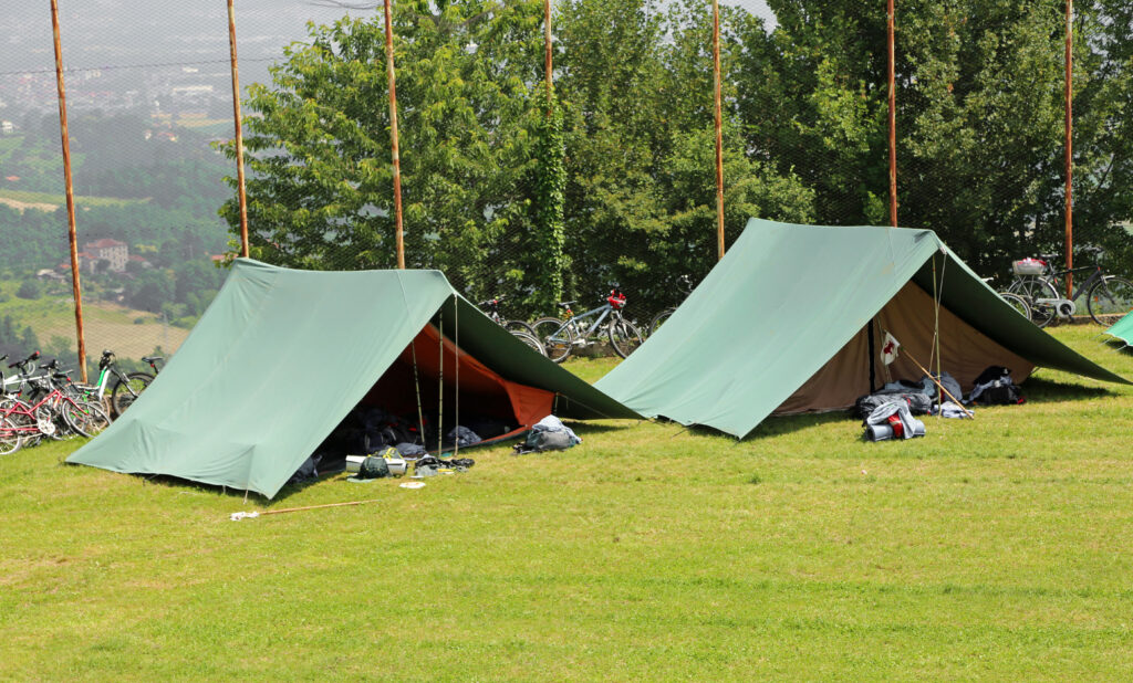 Green Scout Curtains Already Fitted