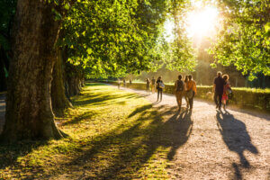 Spaziergänger Im Park In Der Abendsonne (2)